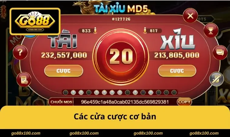 Các cửa cược cơ bản