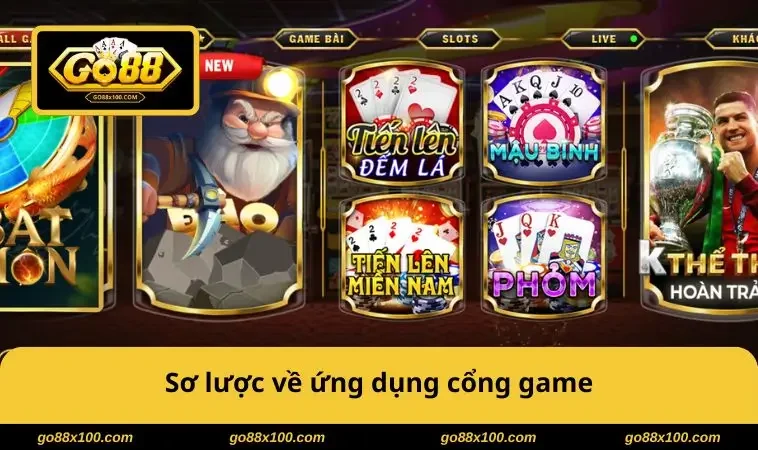 Sơ lược về ứng dụng cổng game