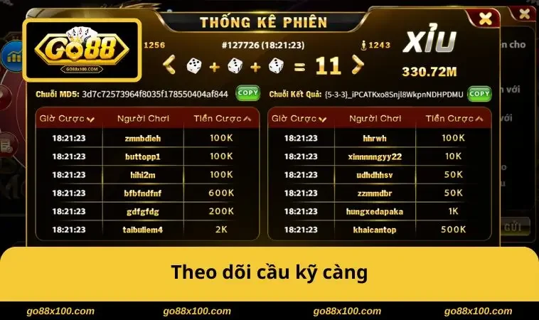 Theo dõi cầu kỹ càng